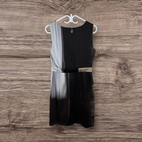 Elie Tahari Black and Cream Sleeveless Sheath Sulk Blend Mini Dress Size 8 - Picture 2 of 6